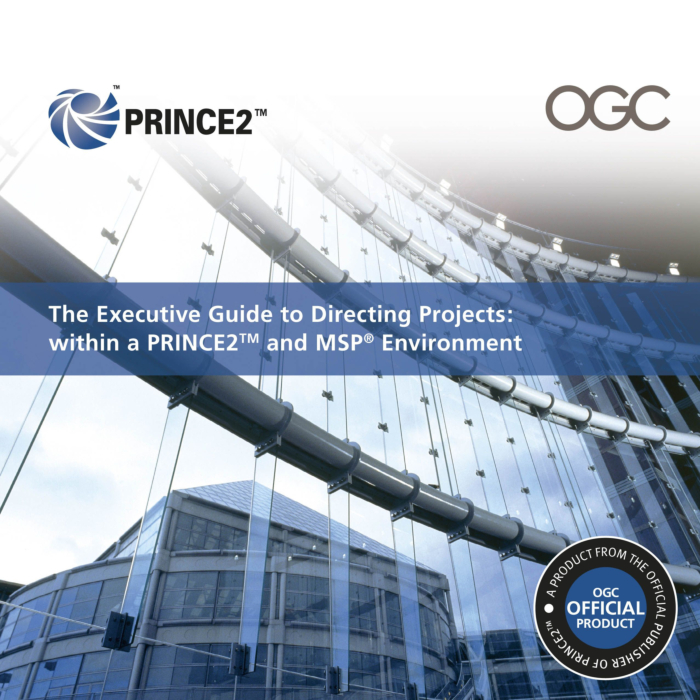 The Executive Guide to Directing Projects within a PRINCE and MSP Environment