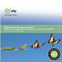 Information Lifecycle Support: Wisdom, Knowledge, Information and Data Management WKIDM 